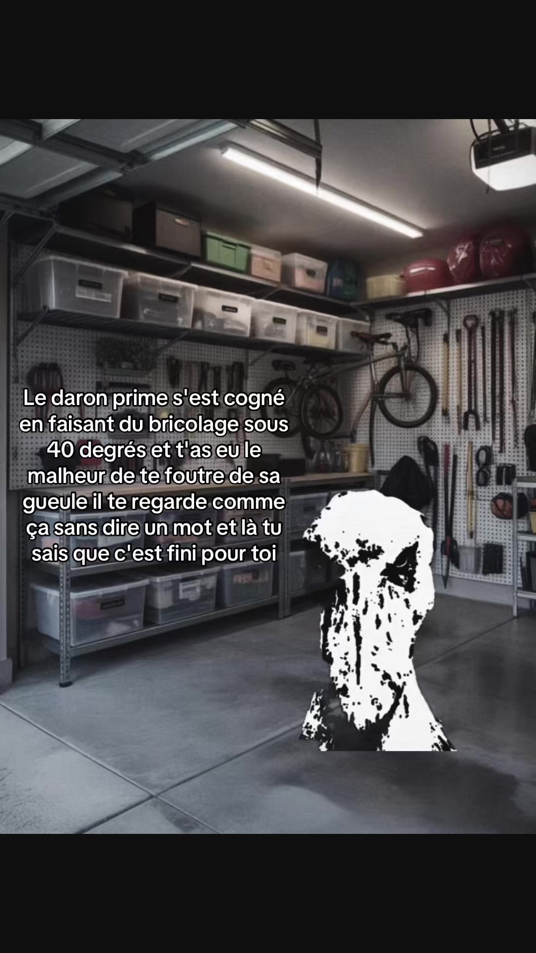 @d4l1_blgcm