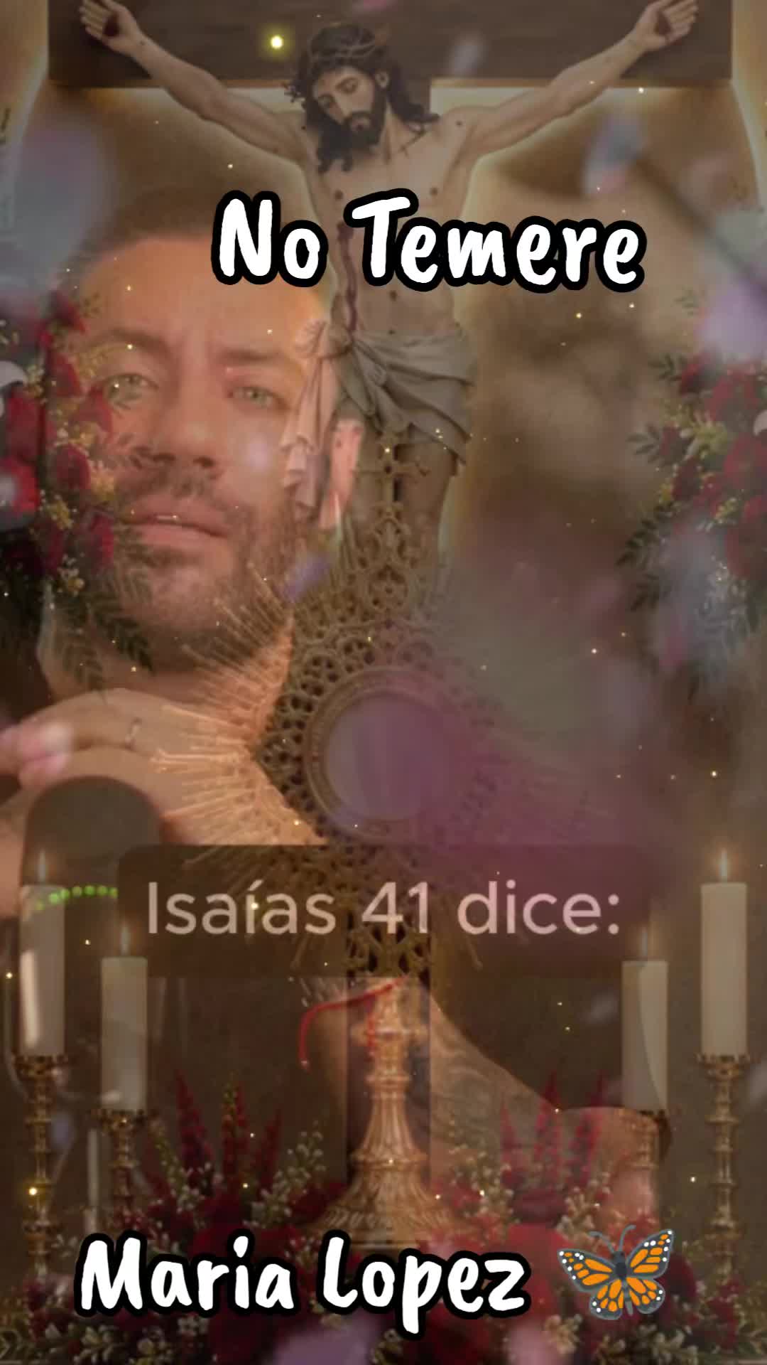 @8Mariposas8