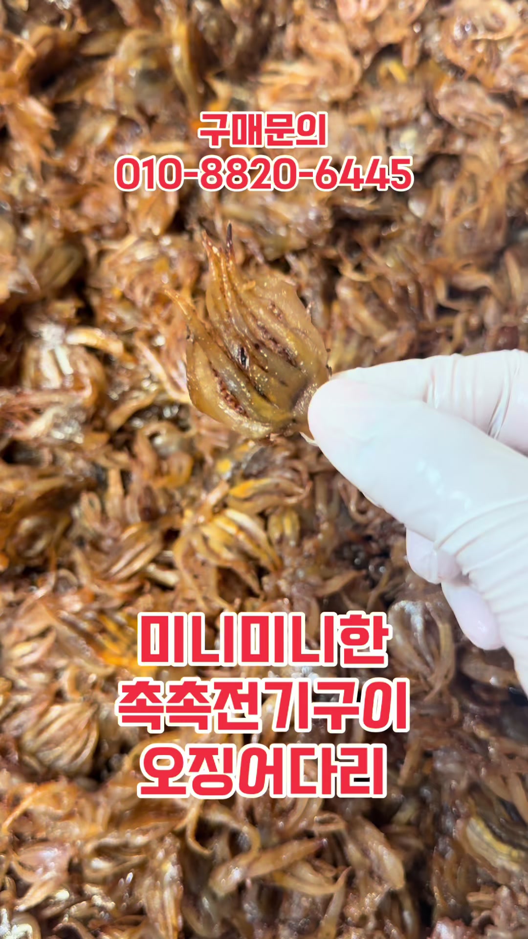 @숭사장건어물(숭사장오징어)🦑