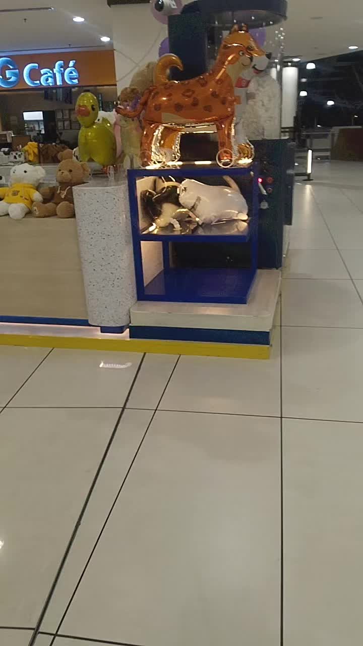 @potti