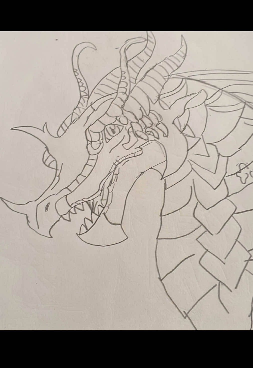 @🐲 ♿️ ren/artist 🏳️⚧️🇮🇪✡️