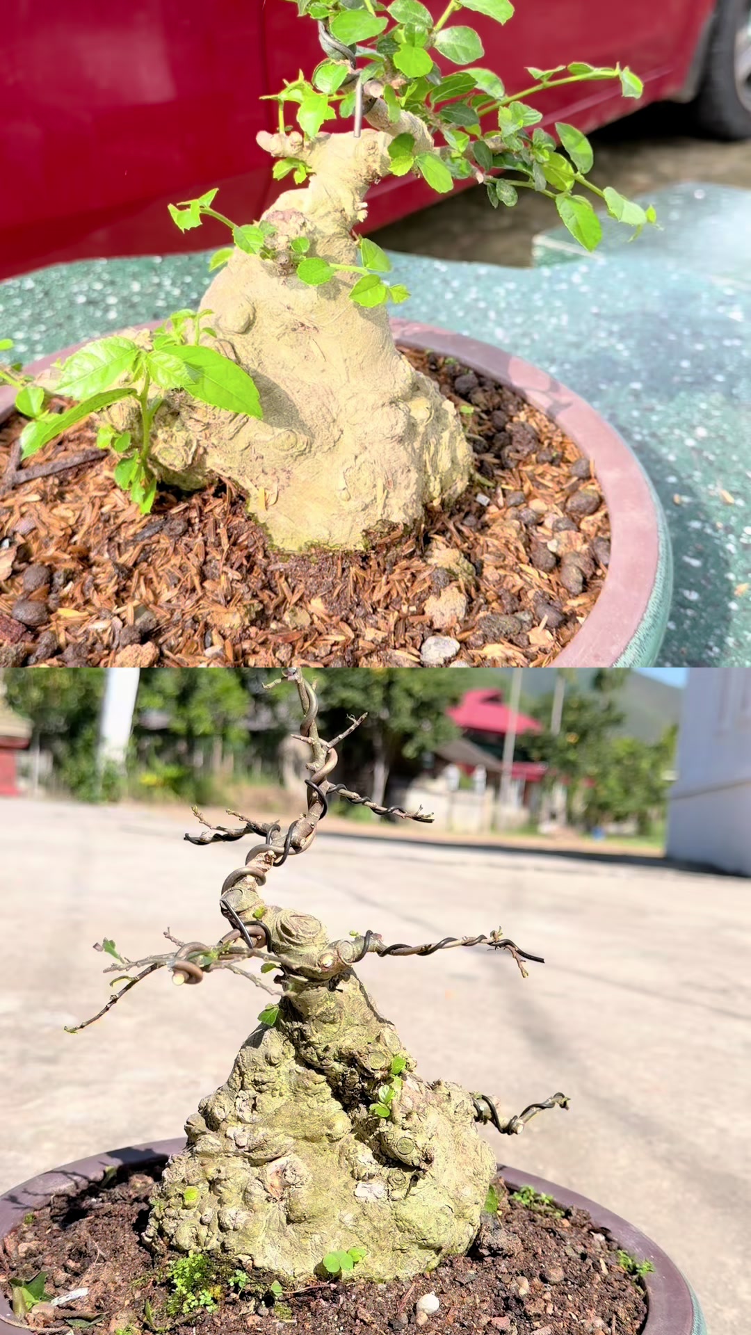 @Anh công