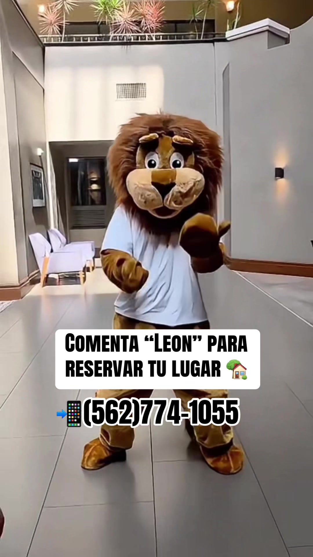 @TheLeonTeam