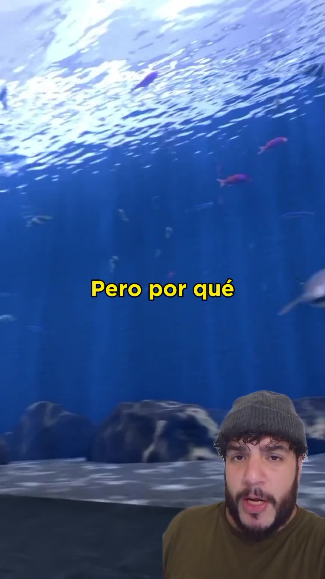 @Animaldex
