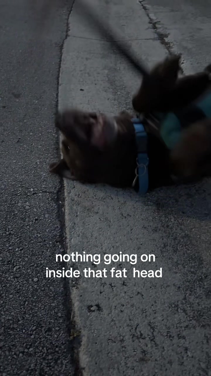 @Isa