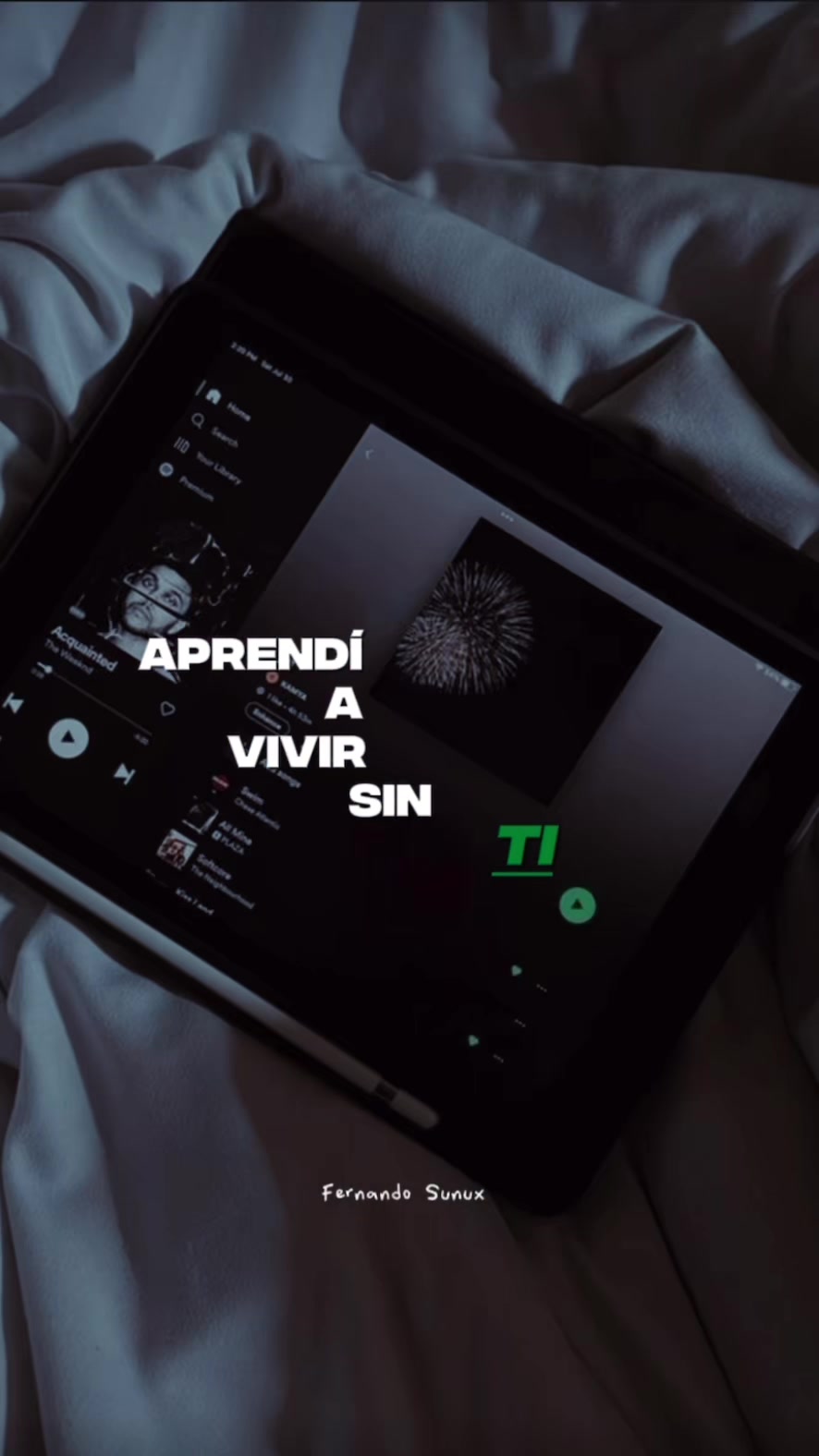 @Fernando Sunux
