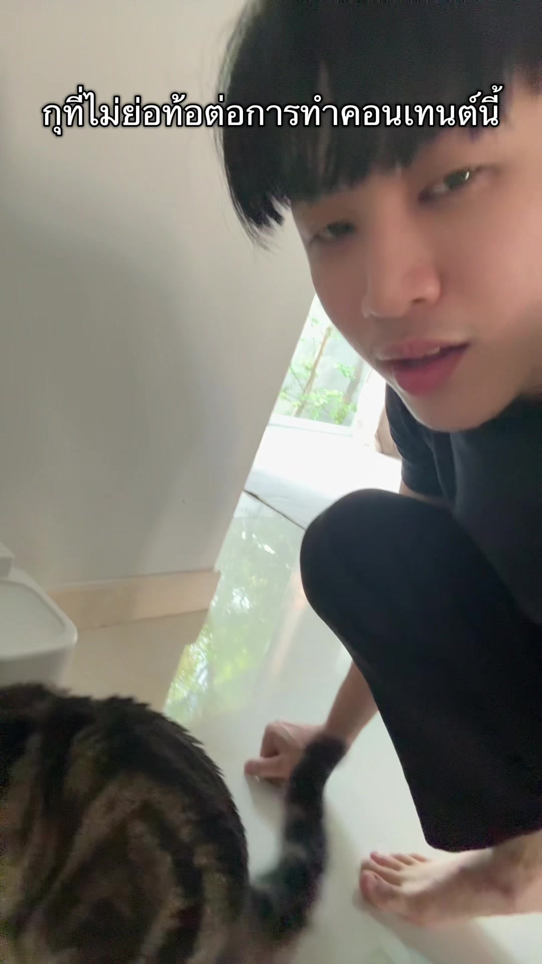 @aomsin
