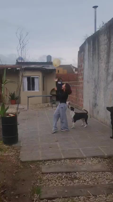@el feli