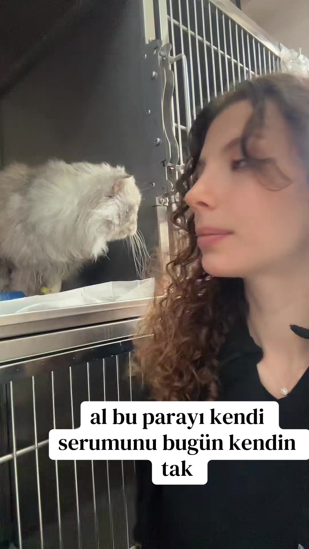 @vetbasakhealss