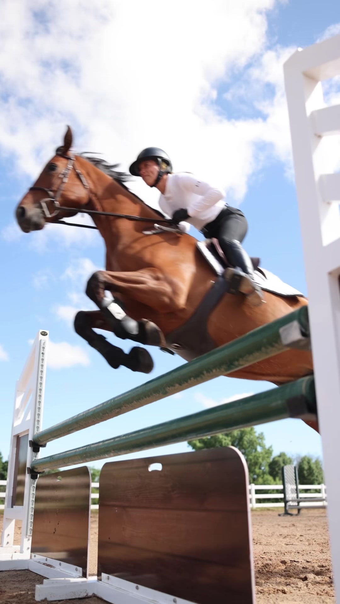 @Aubray | Equine Photographer