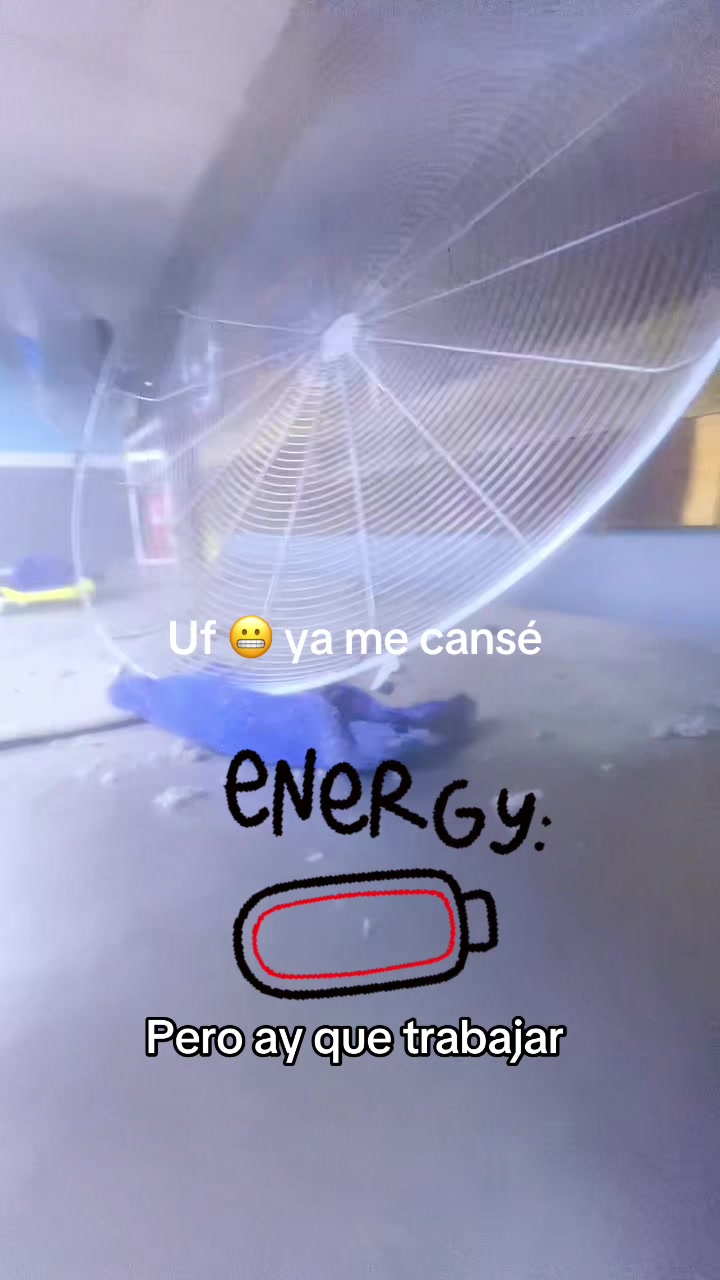@Marypaz Juárez
