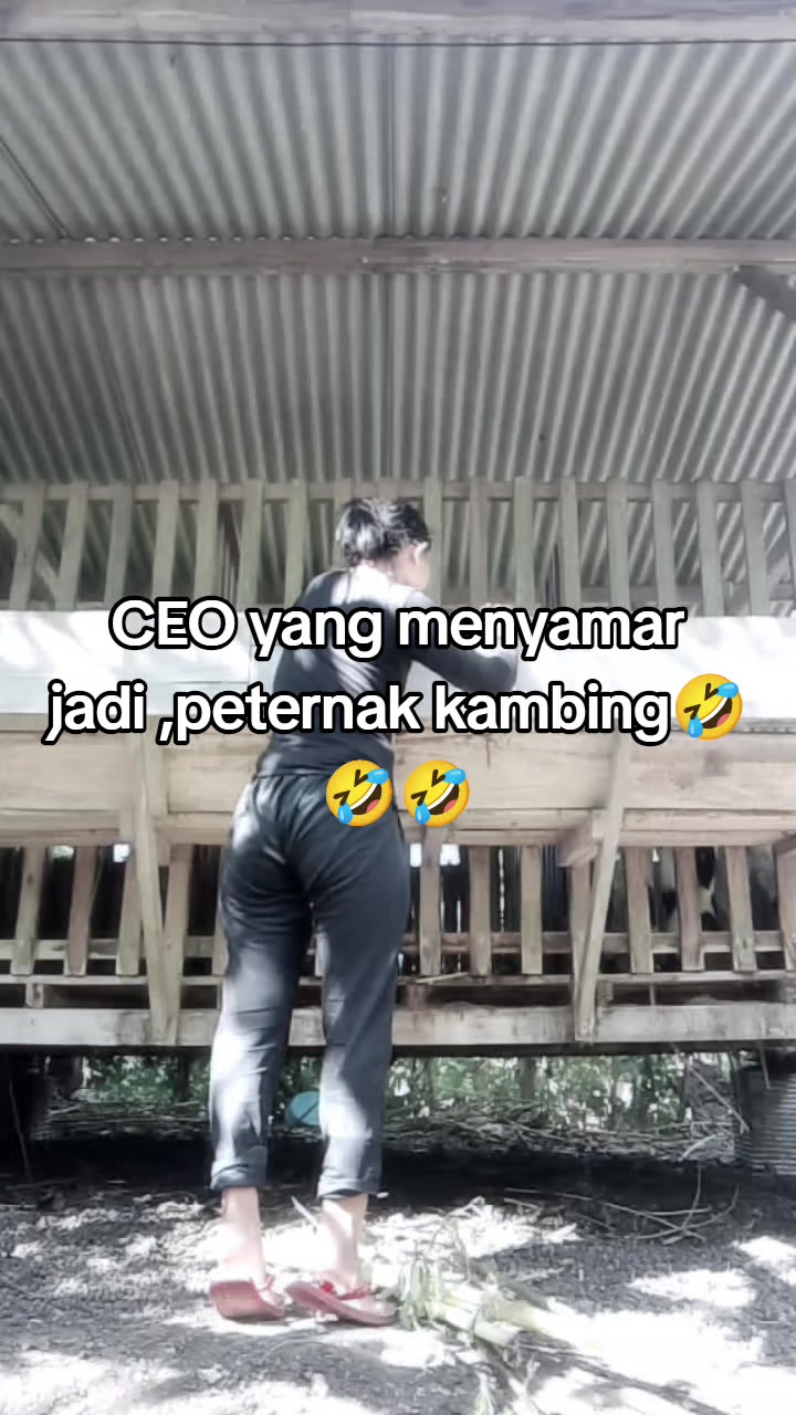 @pita pesek