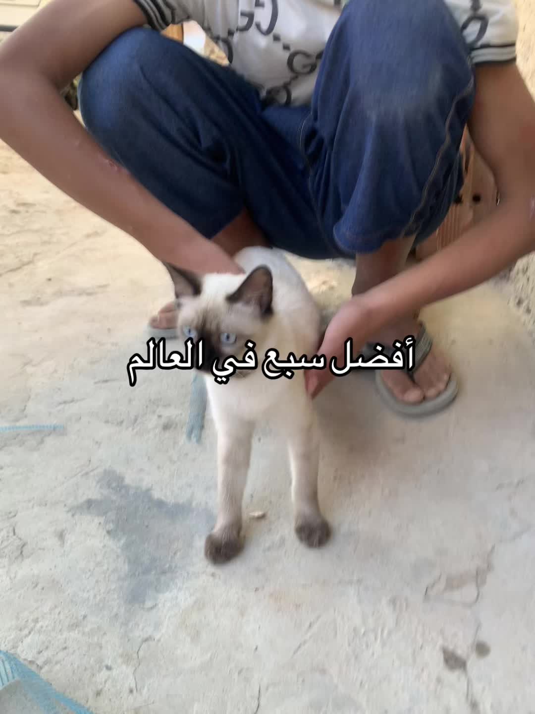 @Hamouda-34