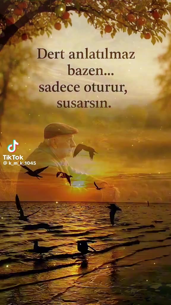@Şerif