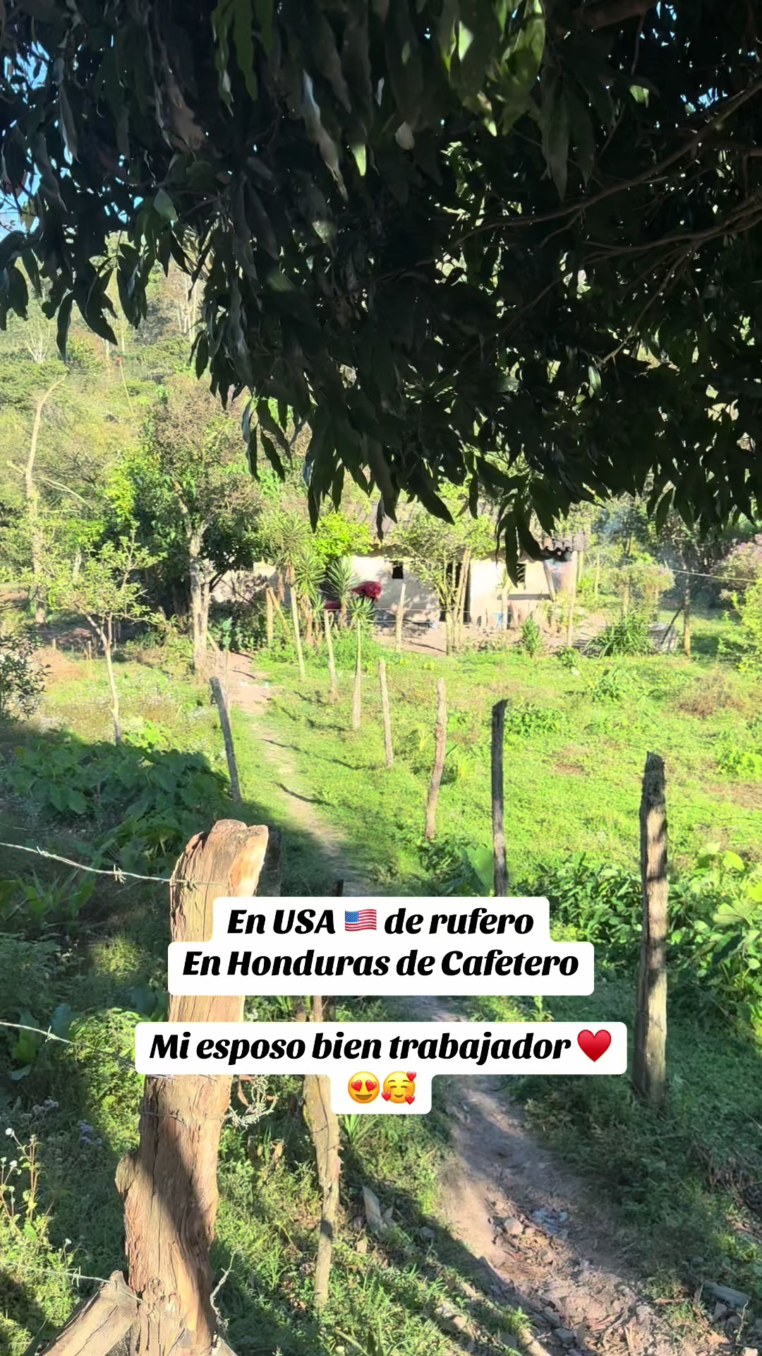 @LuCiAGuZmAn
