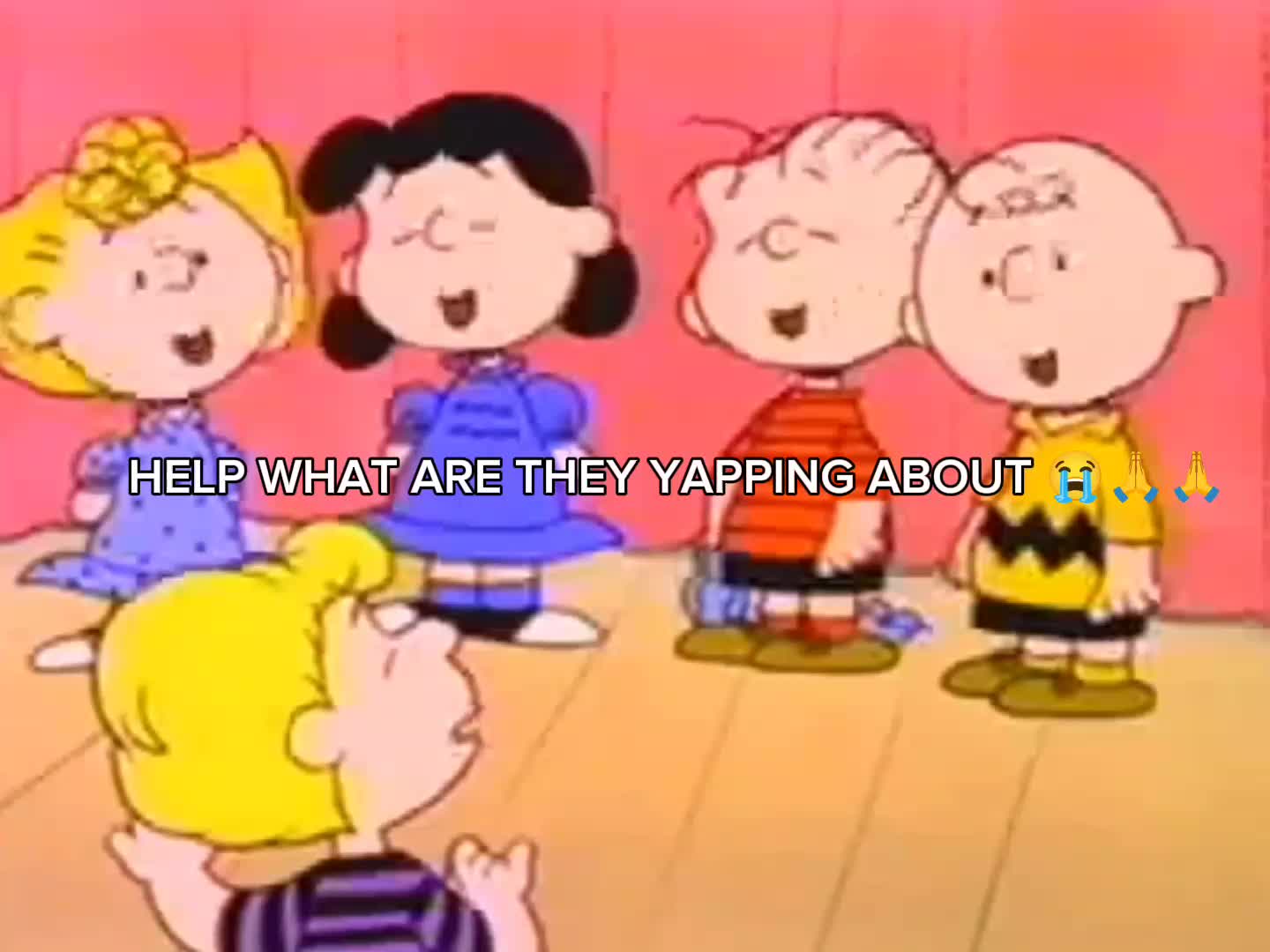 @MISHE!*.✧ || VAN PELT