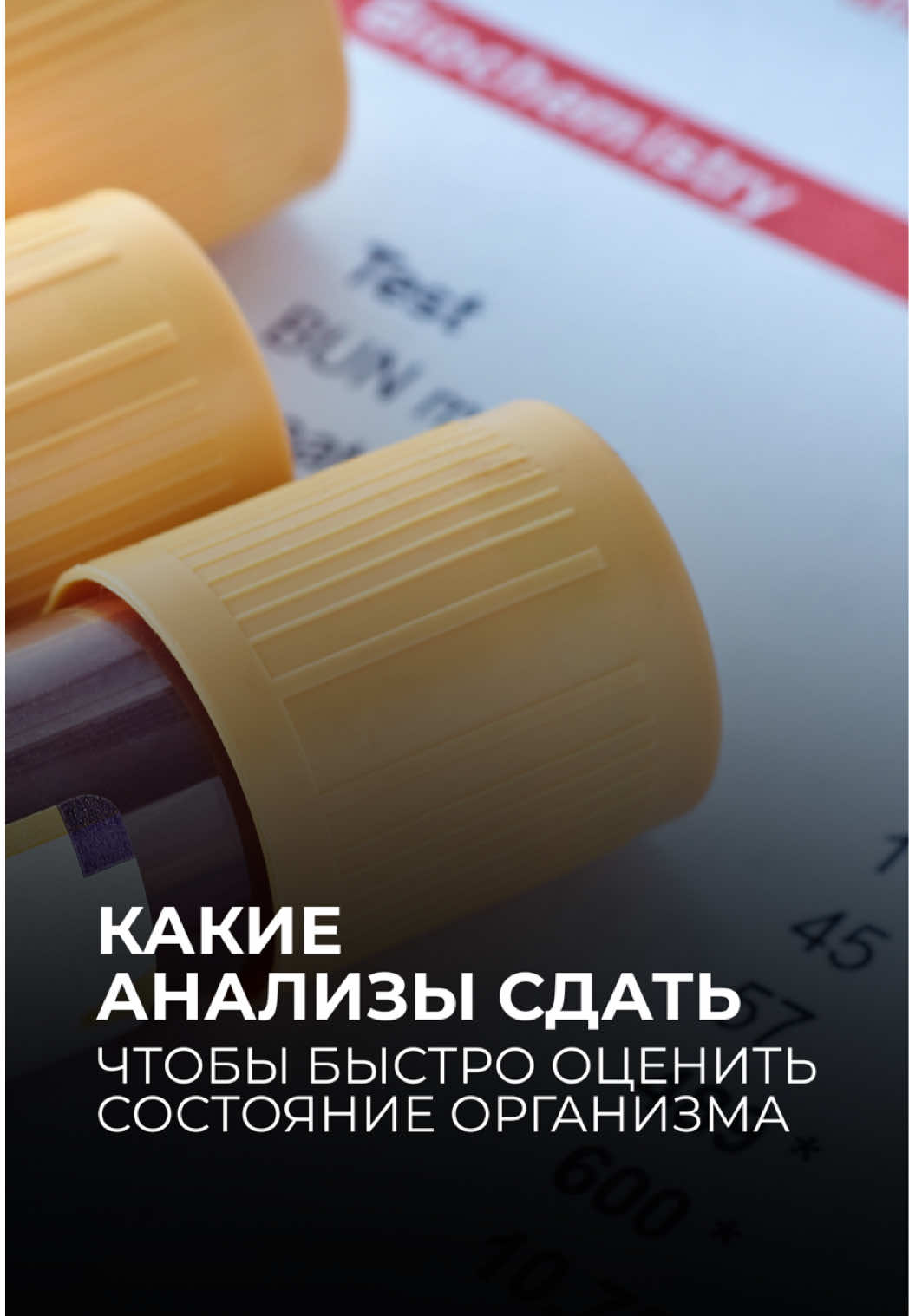 @Tatiana Zabalueva