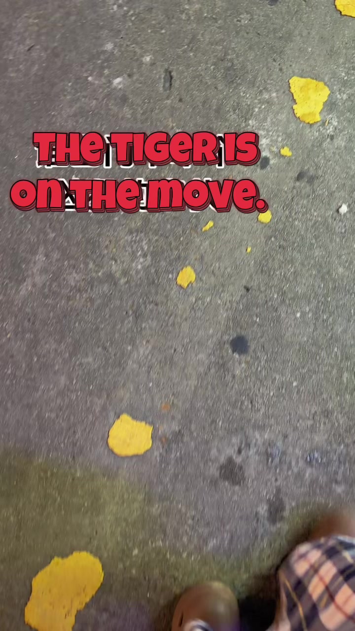 @Laifu