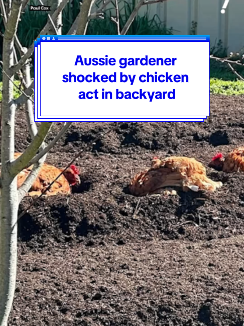 @Yahoo Australia