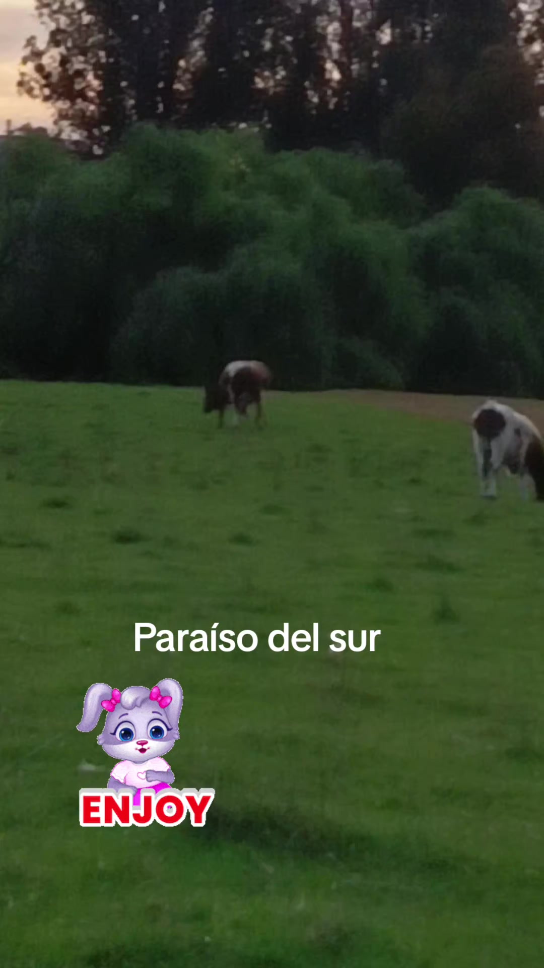 @martamillan772