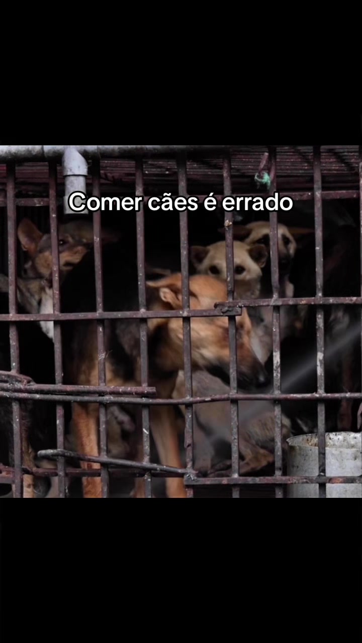 @Carne &eacute; cruel