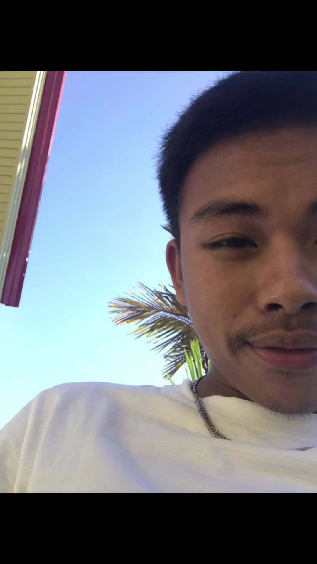 @Dxtr•