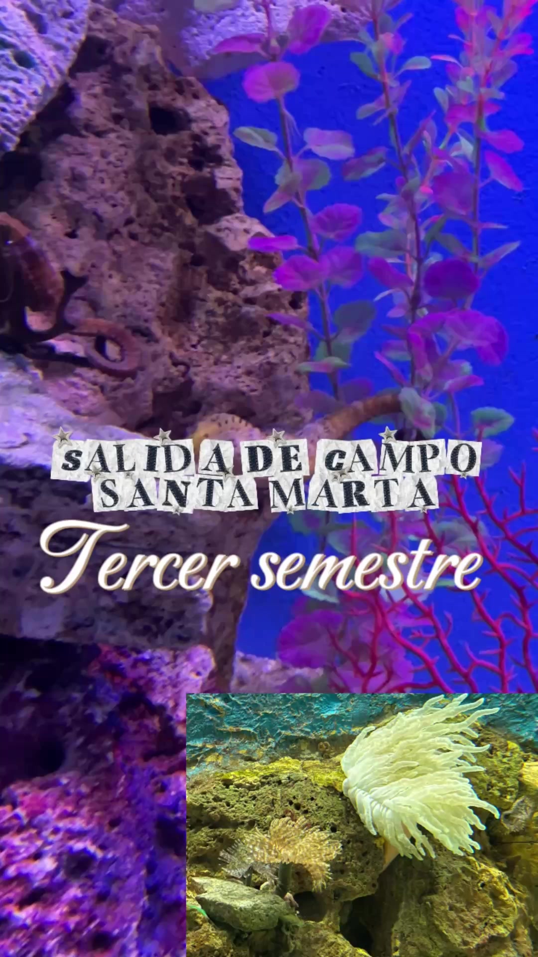 @Unisucre
