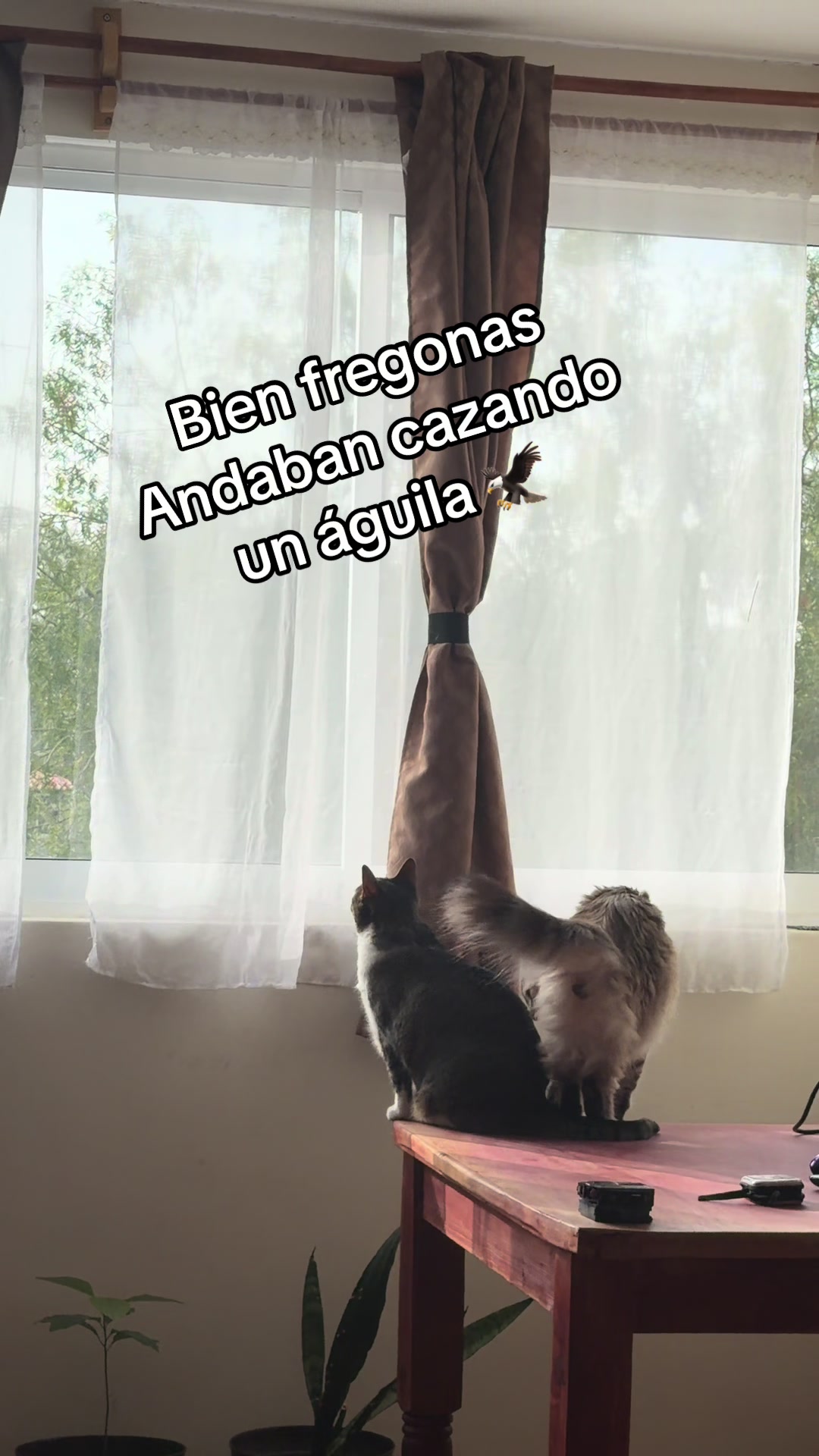 @Adrián Digi