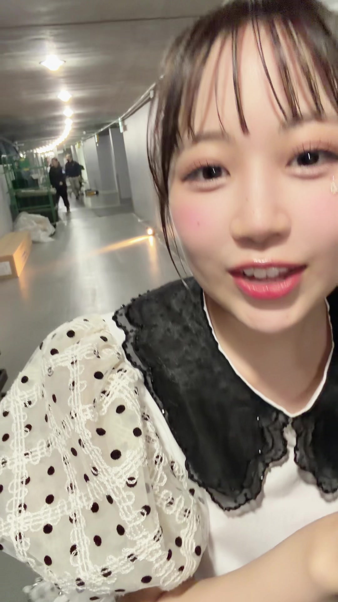 @ふるっぱー日記