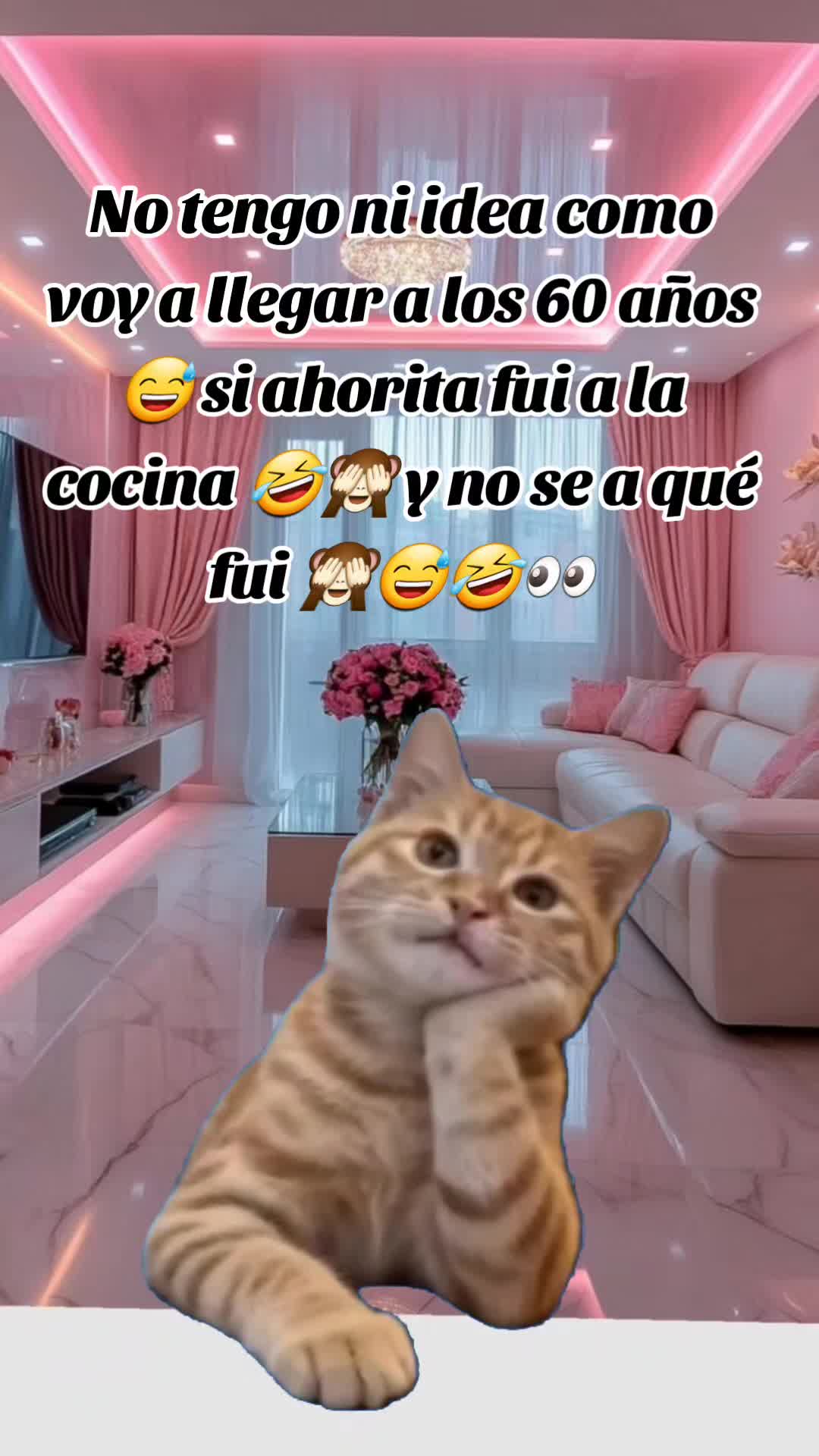 @Jasbleidy humor 🤣