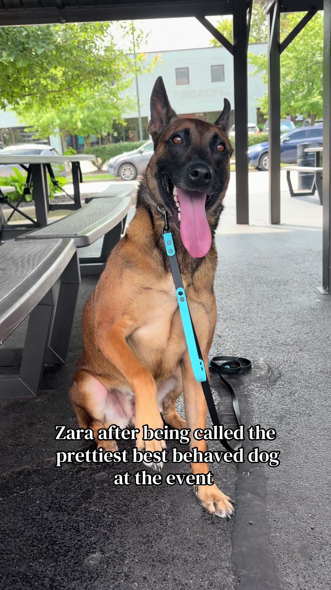 @driven.k9s