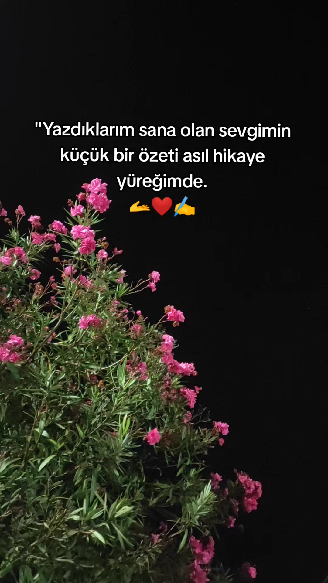 @🔏ŞİİRLERİN KRALİÇESİ🔏