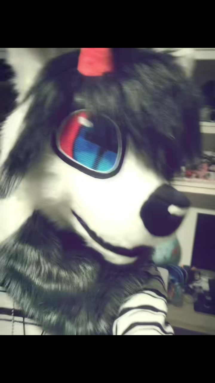 @𝐧𝐨𝐚𝐡 🐾