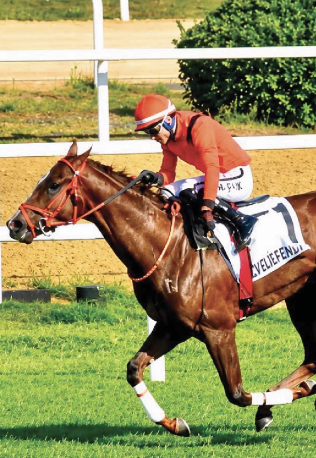 @👑 PİSTİN ŞAMPİYONLARI 👑