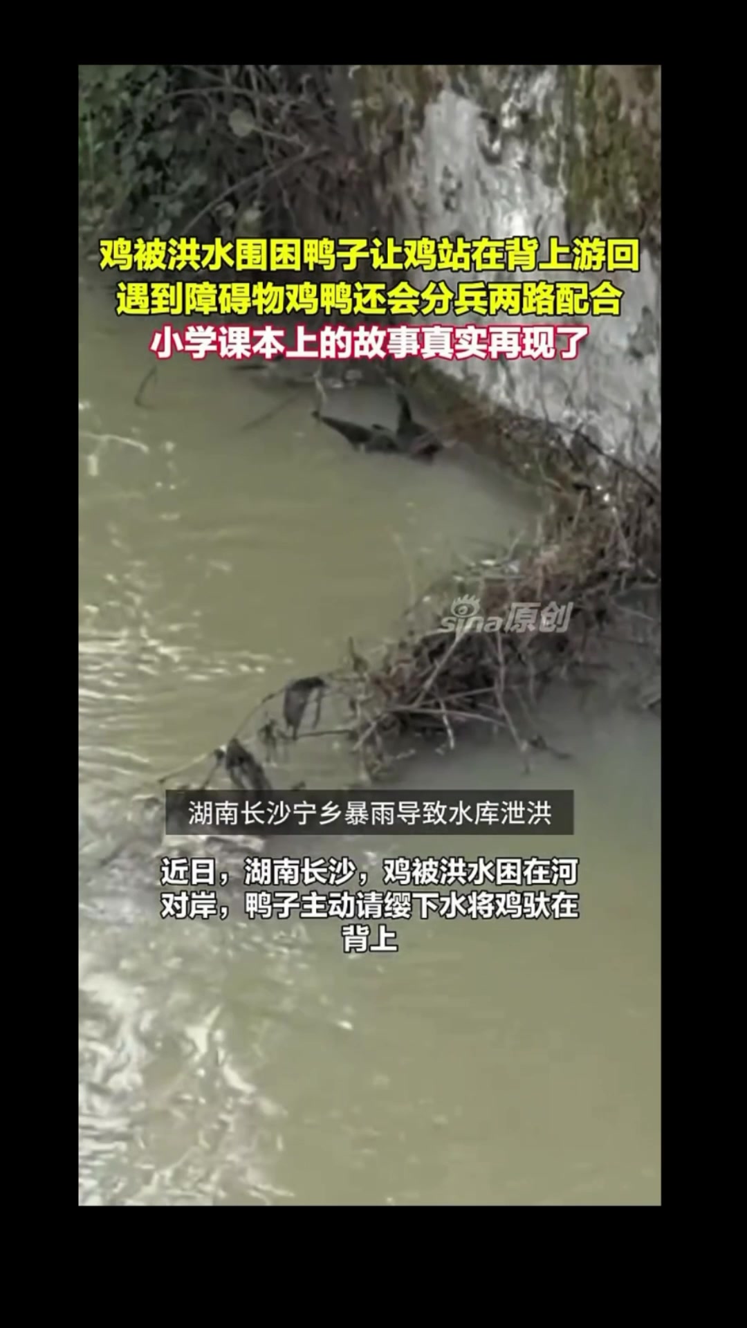 @沧海一粟3