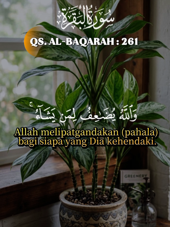 @Scorpio Berkah