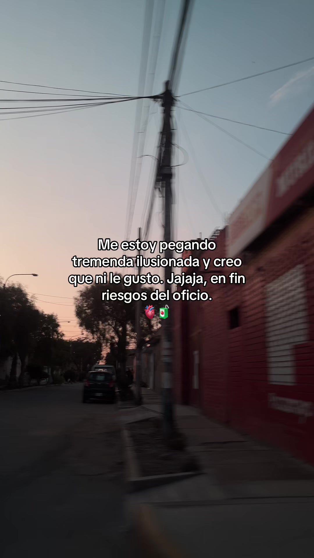 @Gatocix 🐱