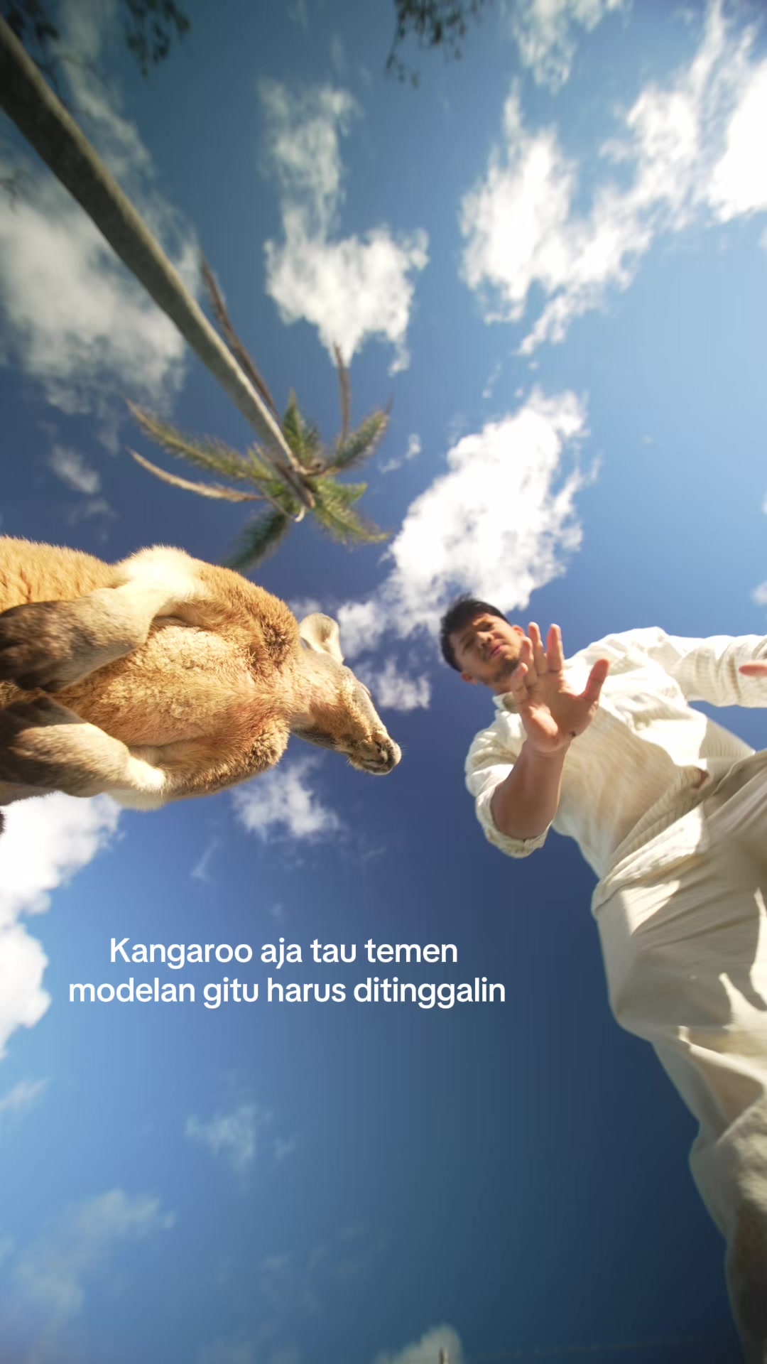 @Sadam.jpg