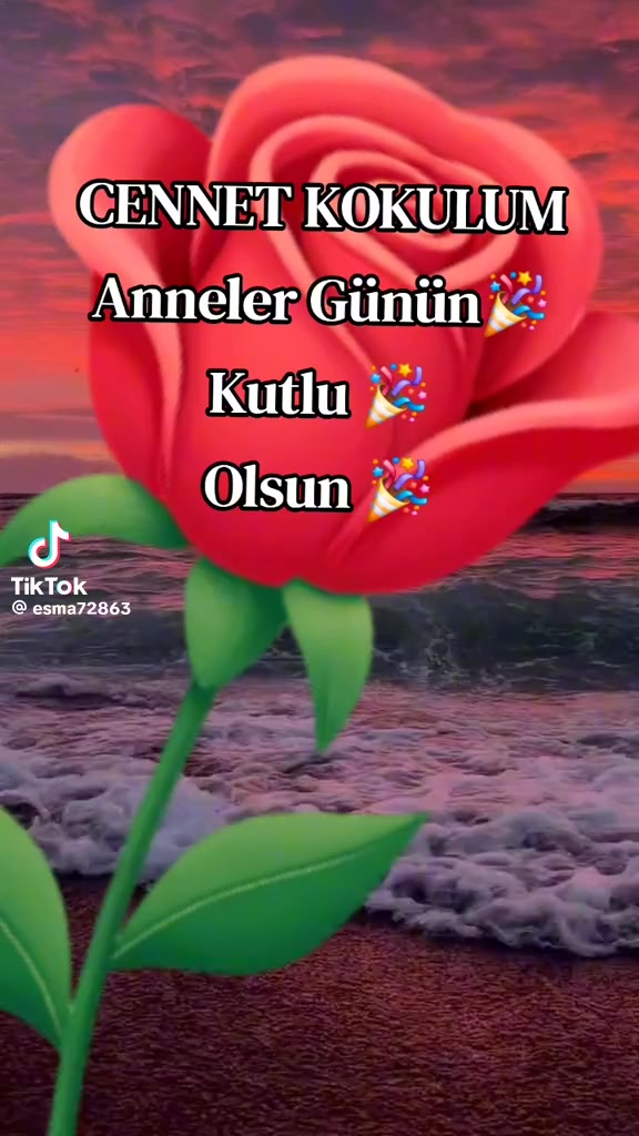 @EROL BOZKURT