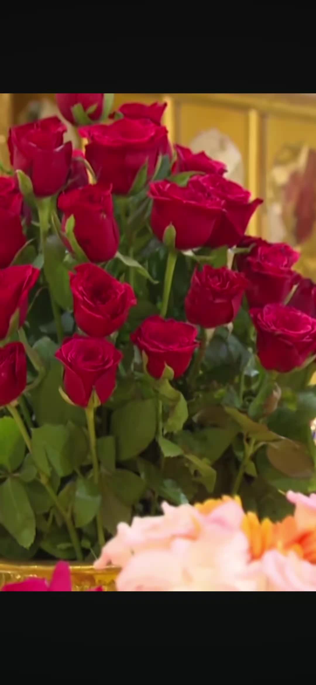 @ramandeep6175