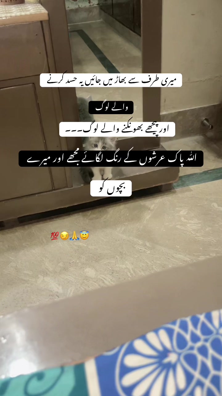 @ᥫ᭡𝒜𝓇𝒶𝒾𝓃 𝒵𝒶𝒹𝒹𝒾࿐ ❦💋🤌