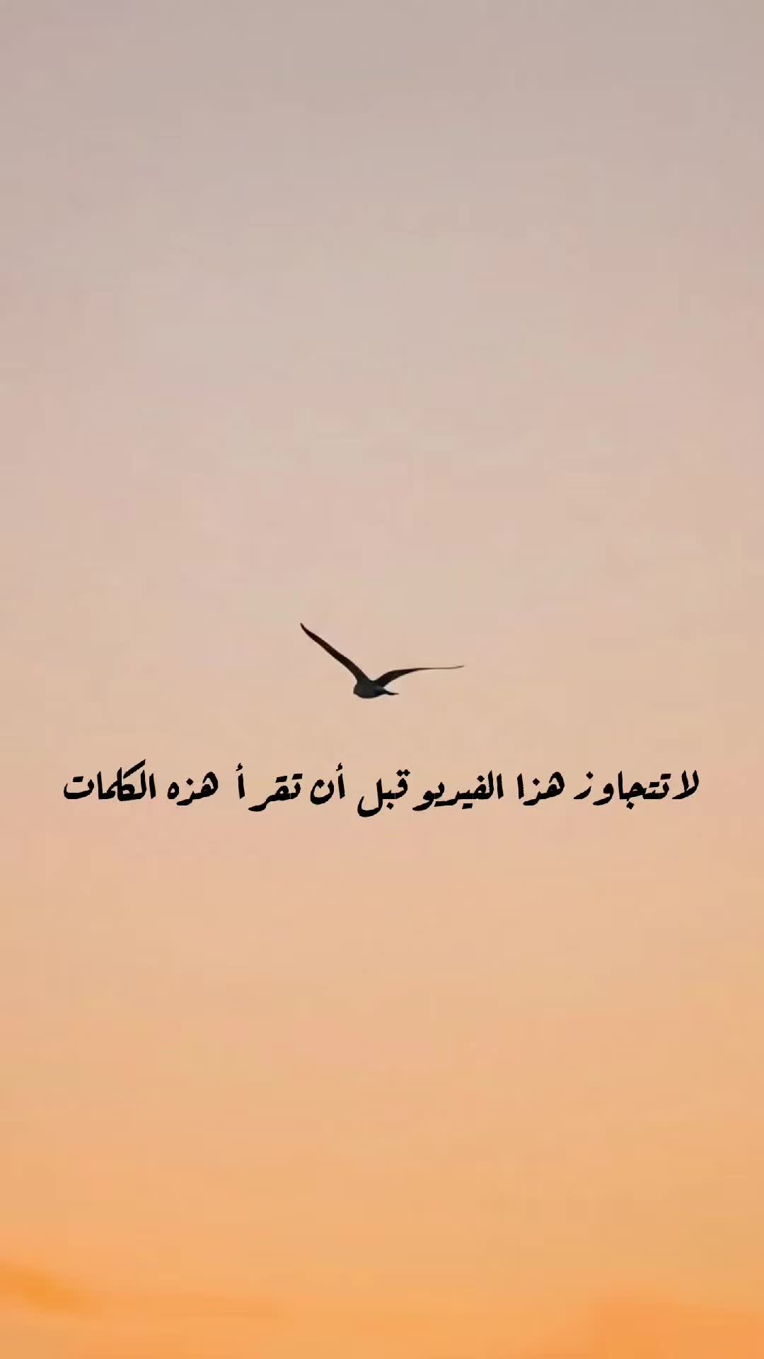 @حيدر الوائلي