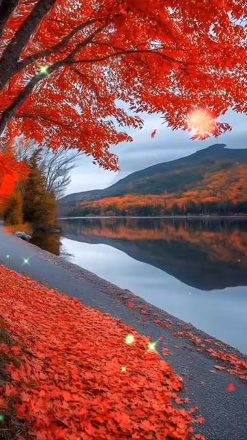 @darakhshande1