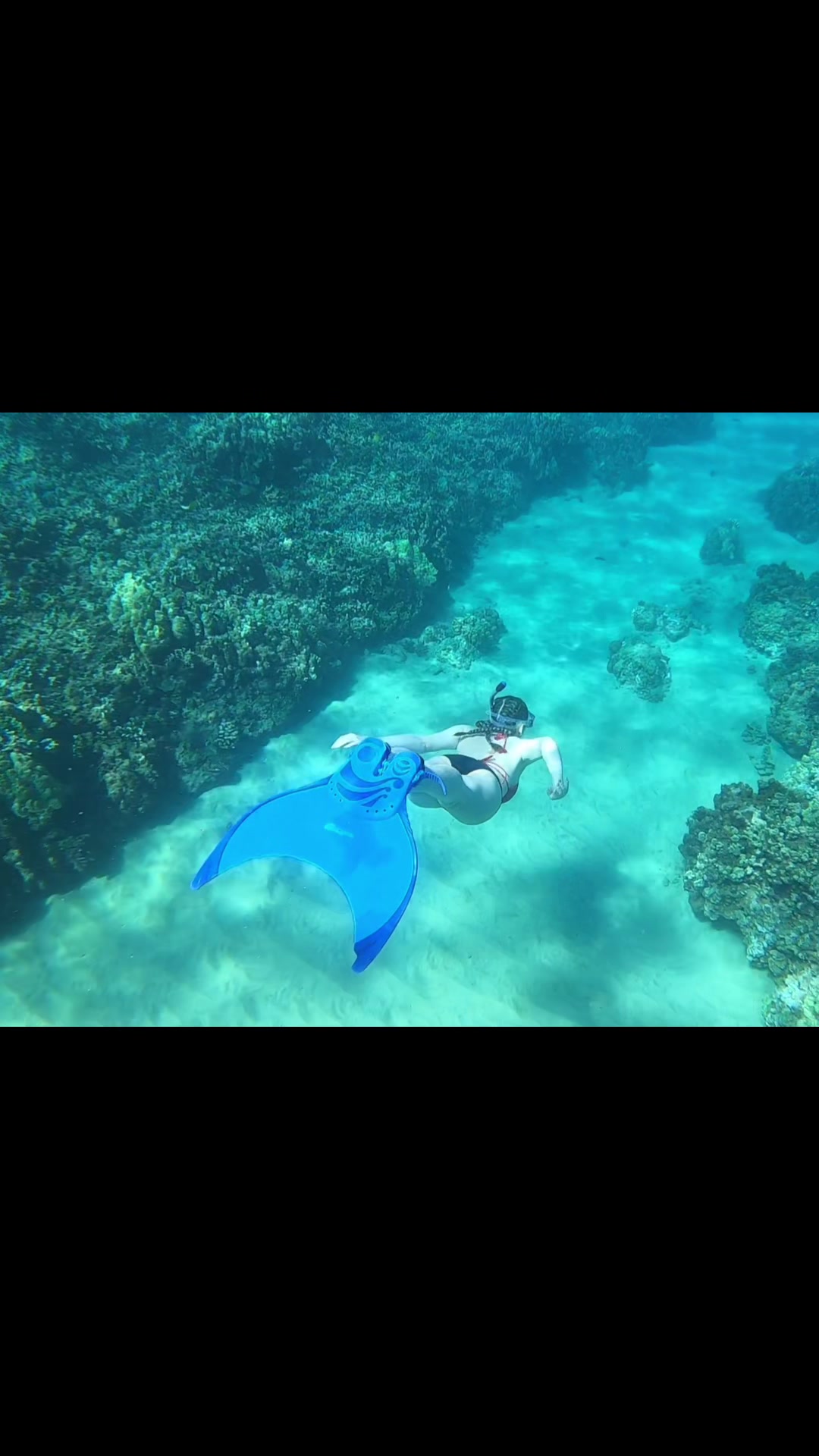@💙Ruby🌊
