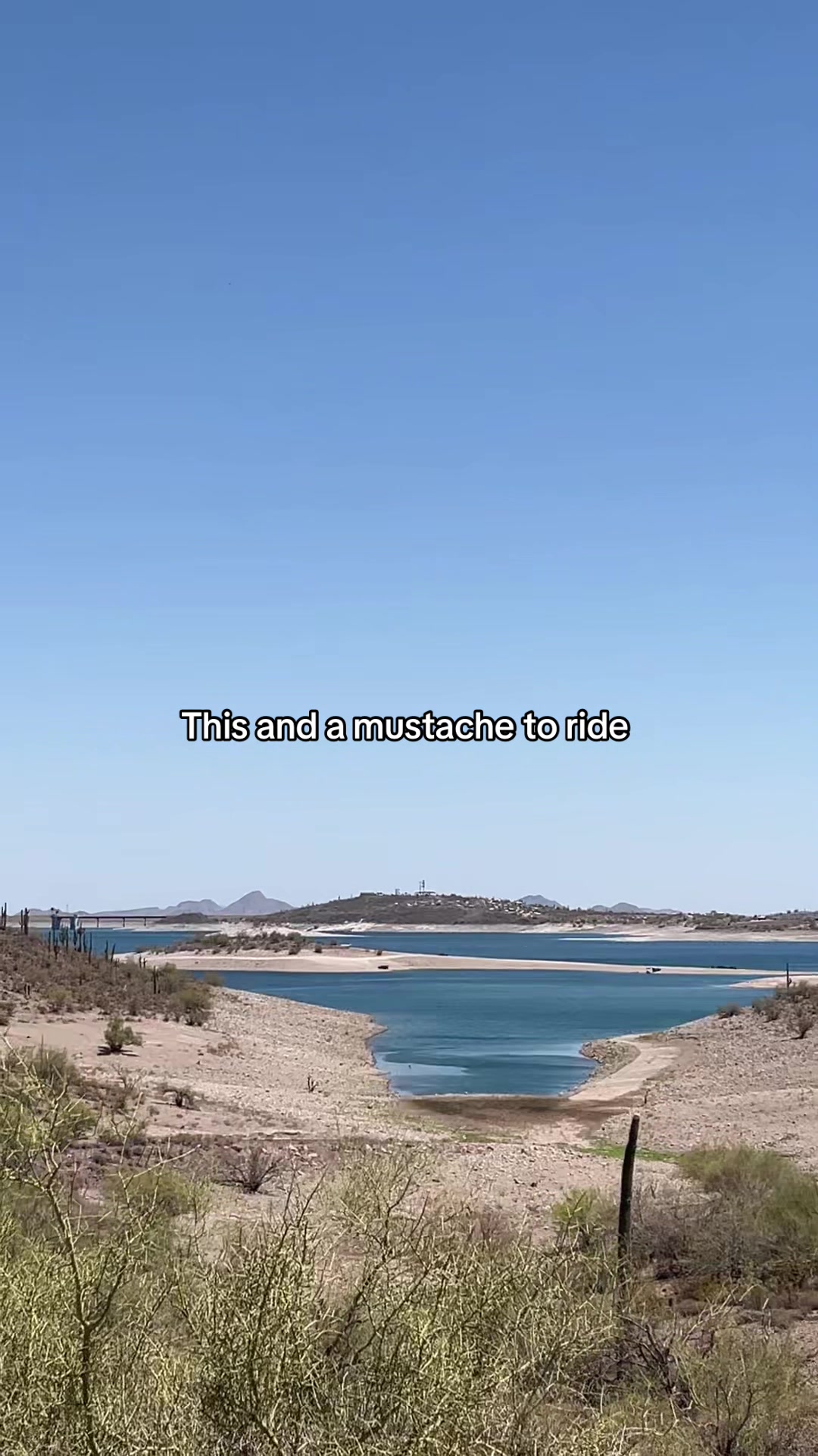 @Fit Sidney