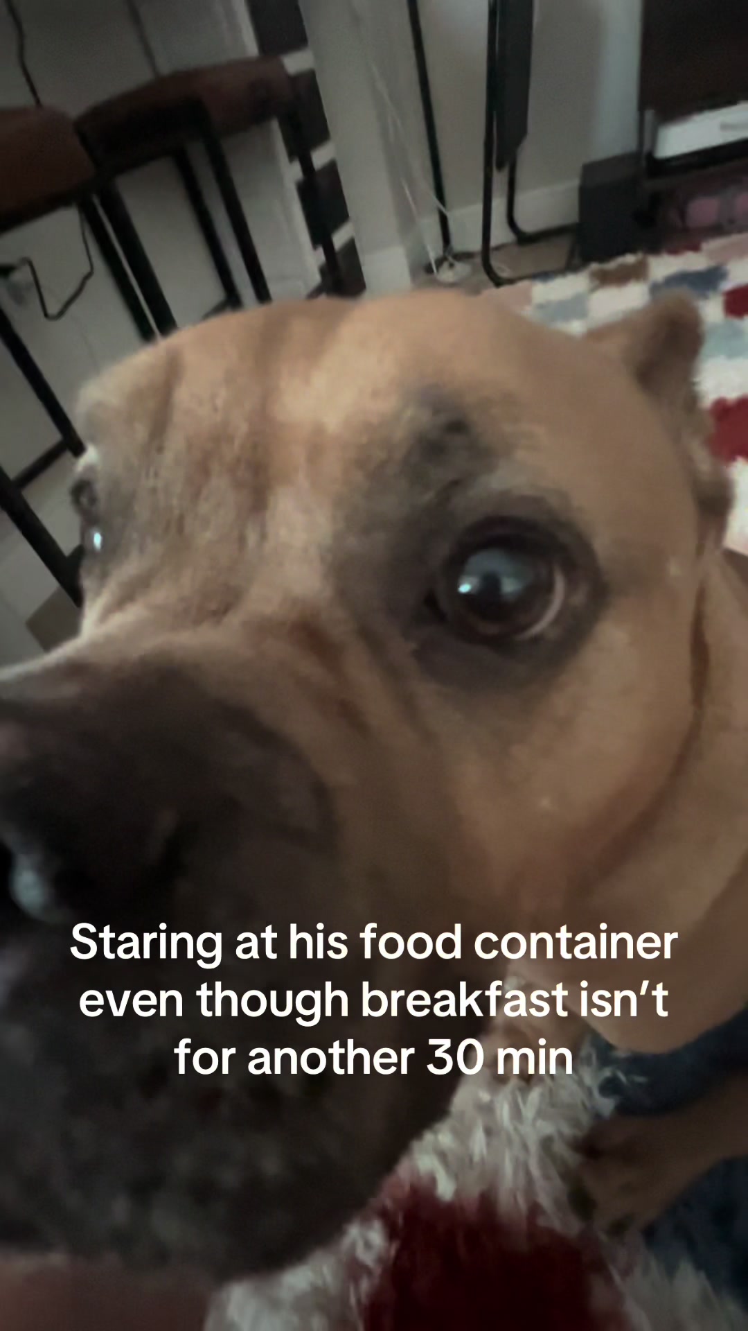 @BlockHeadCutie