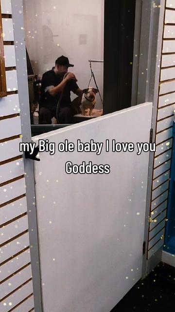 @iamladyphoenix