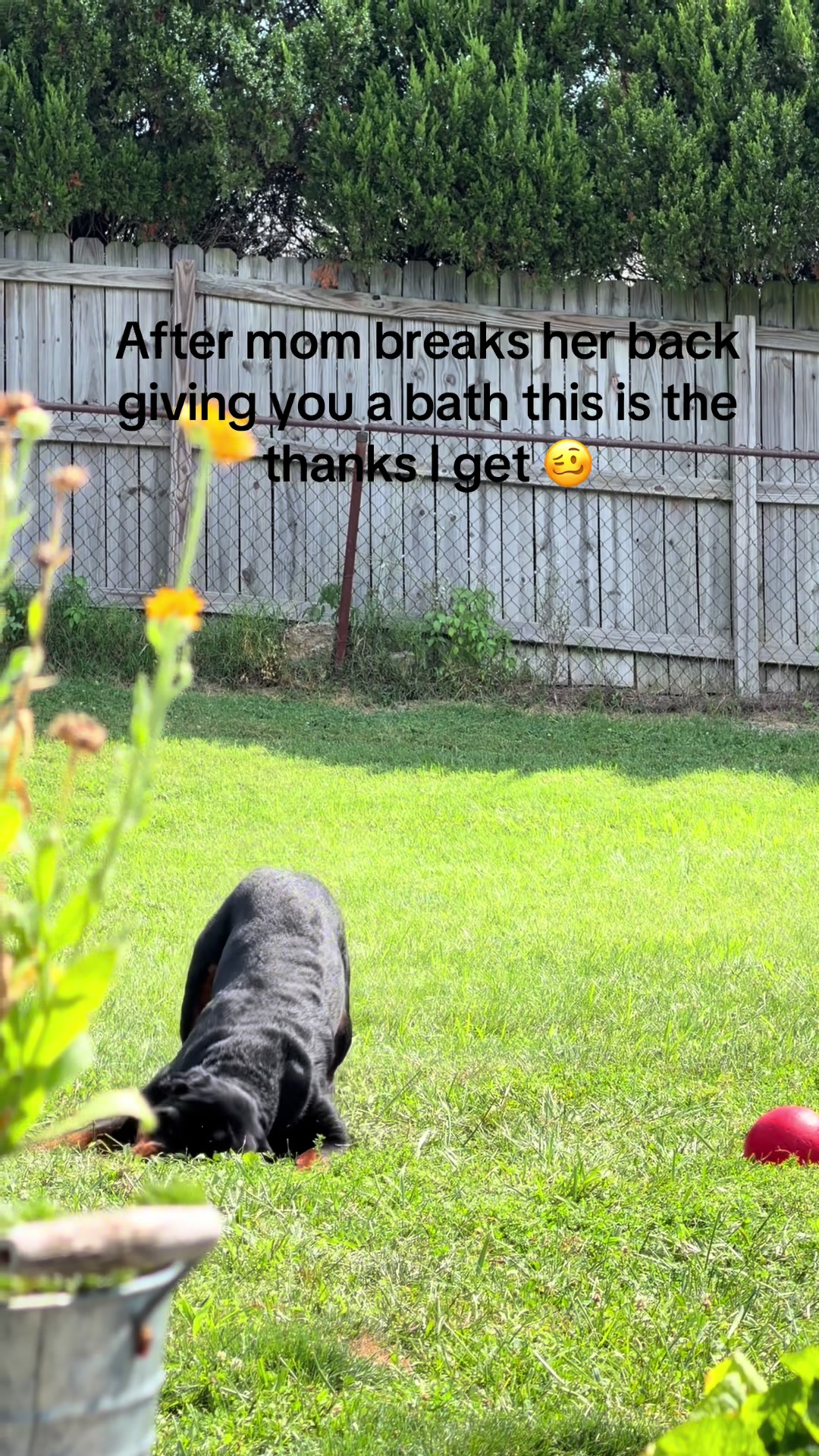 @MuddyHollerGirl