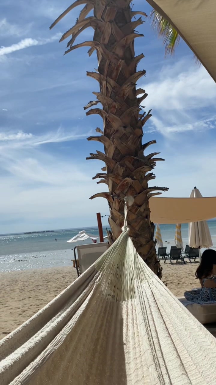 @inésgonzález