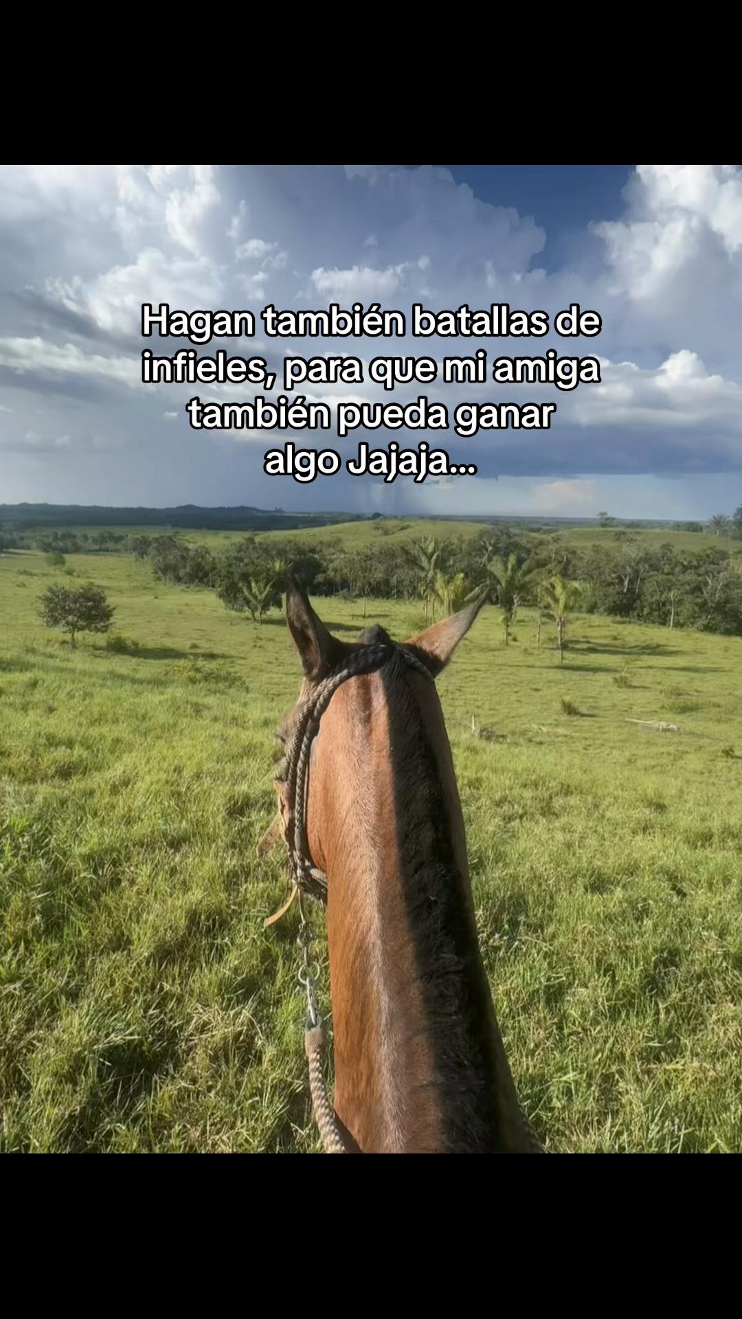 @Didier_🤠